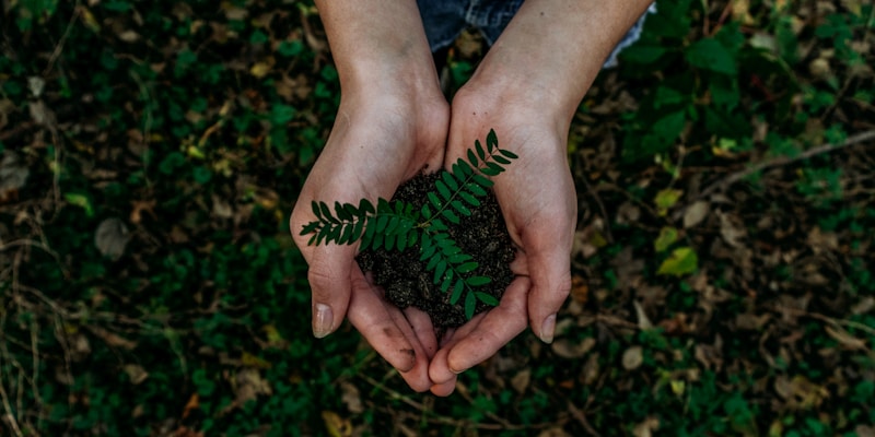 Green IT et distribution responsable : Comment API-OI transforme votre approvisionnement informatique en démarche durable”